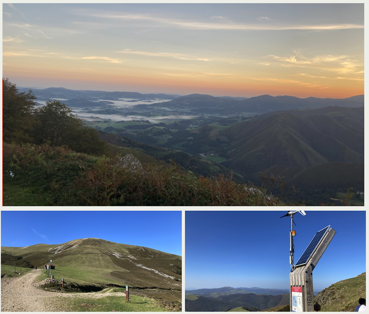 스크린샷 2024-10-17 오전 8.01.27.png