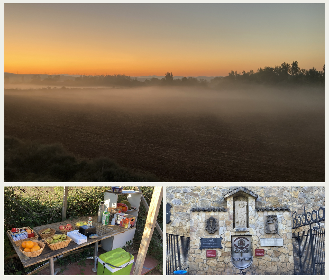 스크린샷 2024-10-17 오전 8.03.36.png