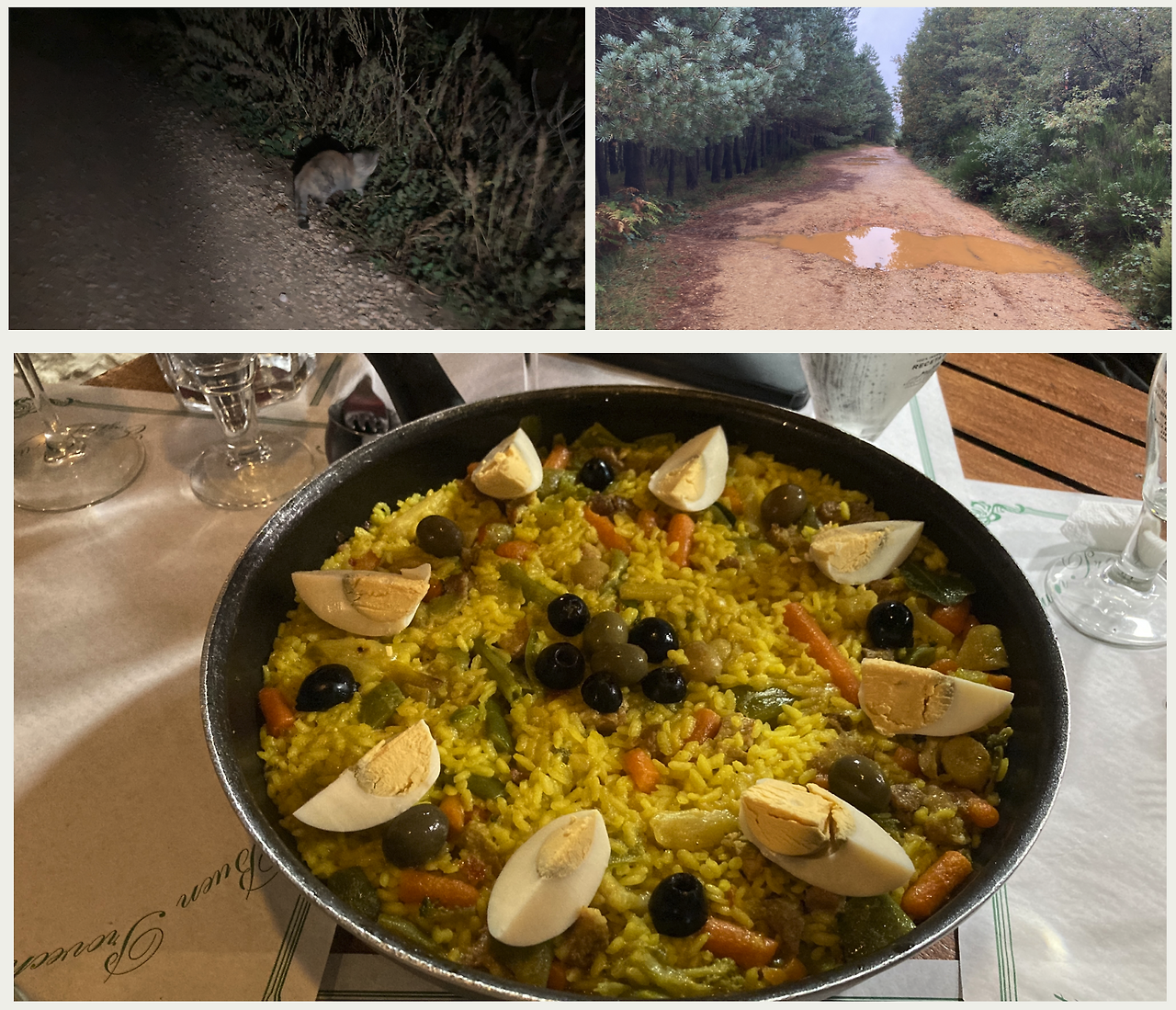 스크린샷 2024-10-17 오전 8.07.18.png