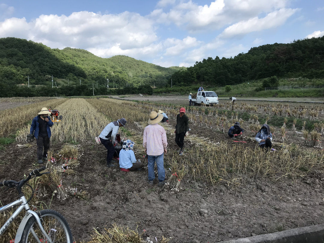 집성촌 배경 (8).png