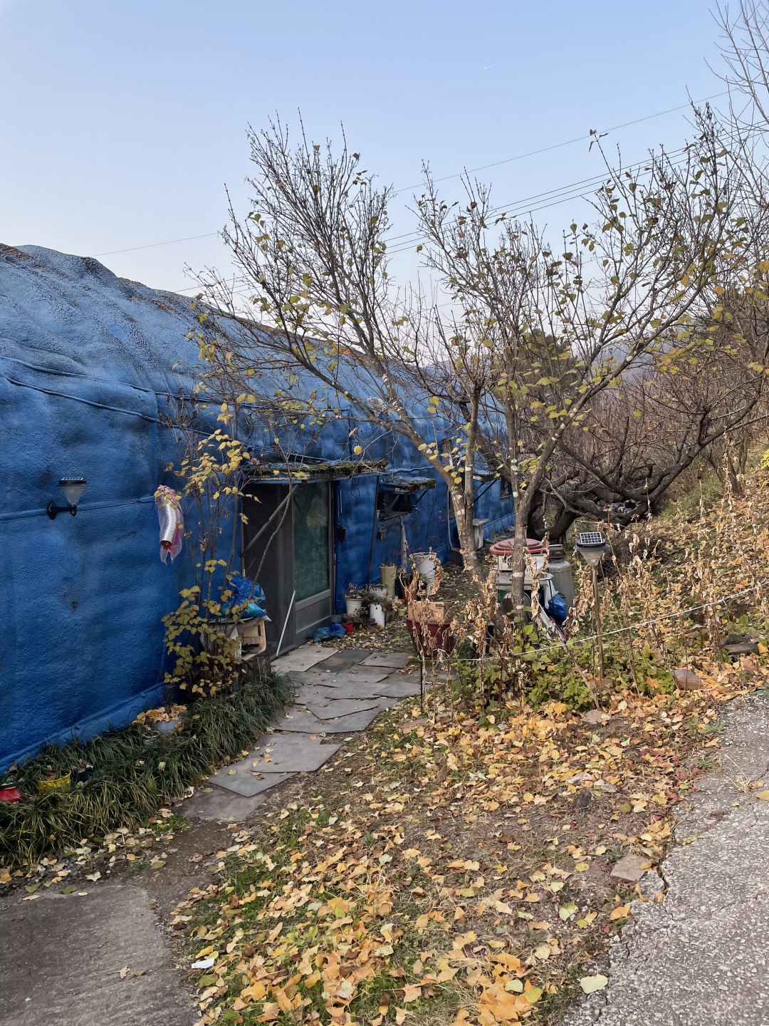 파란색 버섯집.png