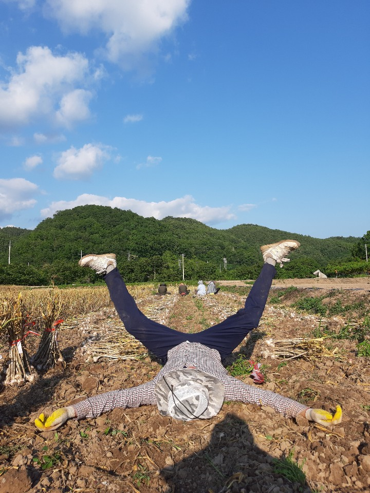 집성촌 배경 (22).png