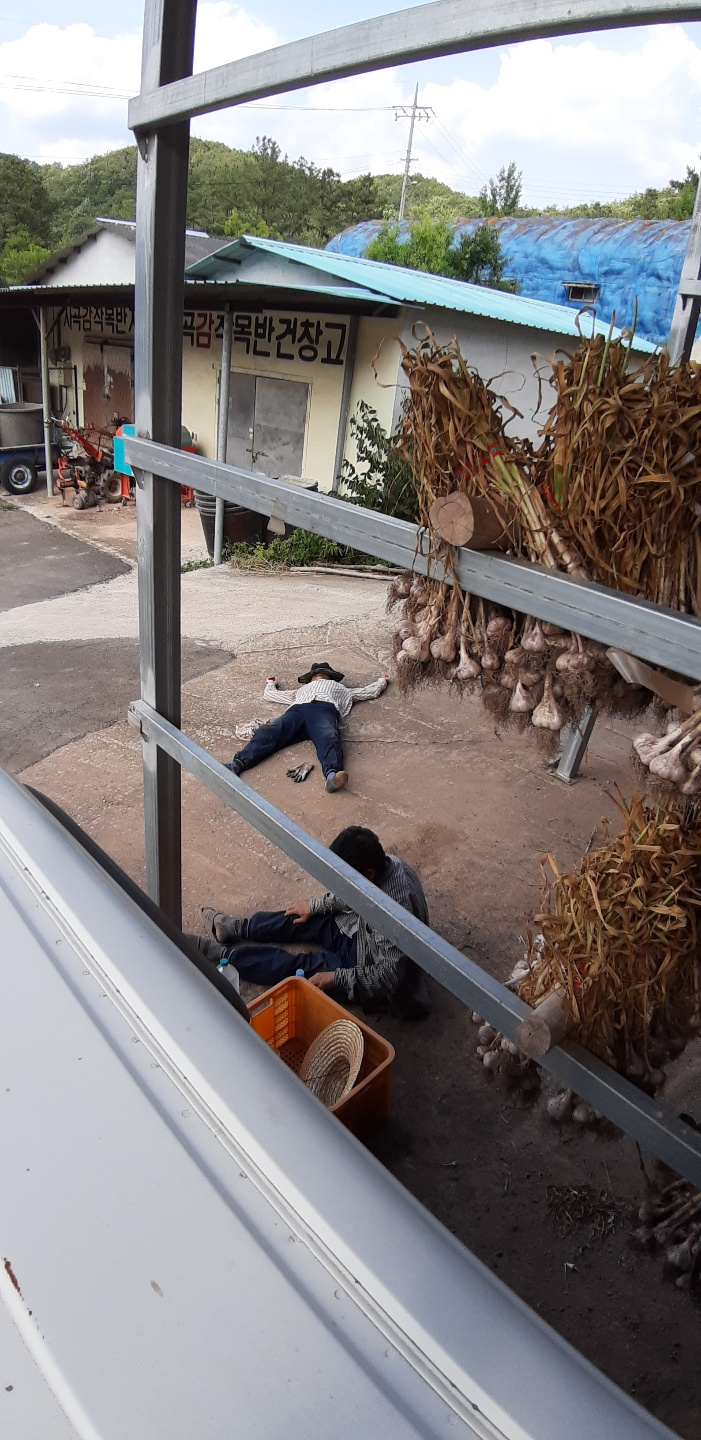 집성촌 배경 (31).png