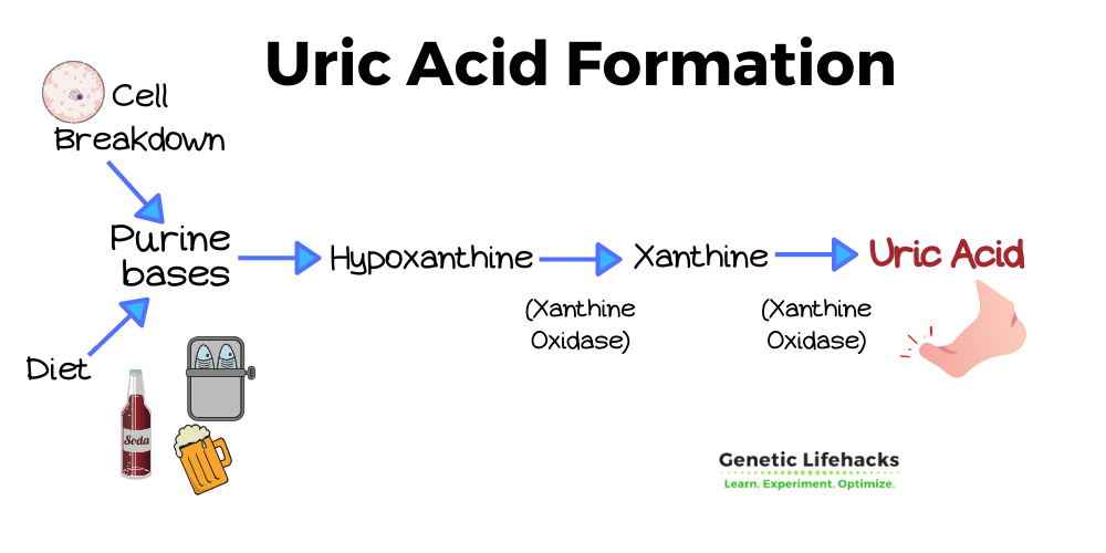 uric-acid.png