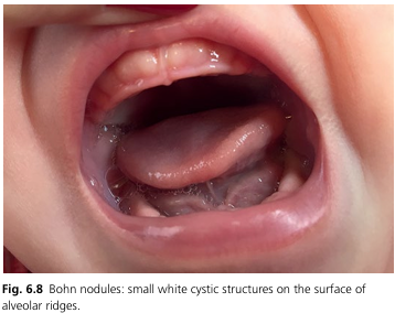 화면 캡처 2024-09-17 171653.png