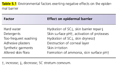 화면 캡처 2024-08-20 201024.png