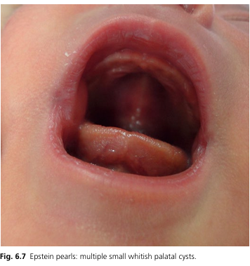 화면 캡처 2024-09-17 171516.png