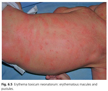 화면 캡처 2024-09-17 154628.png