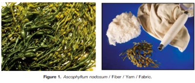 Untitled - 2024-07-09T224700.312.png