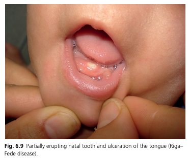 화면 캡처 2024-09-17 172504.png