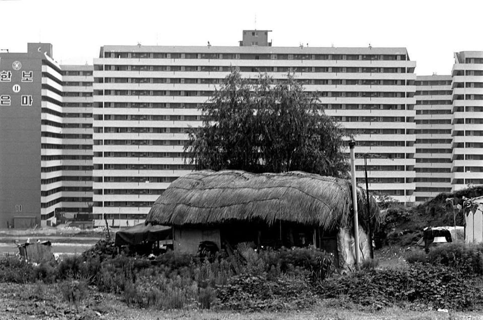 1981 사진 권태균.png