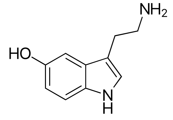 세로토닌.png
