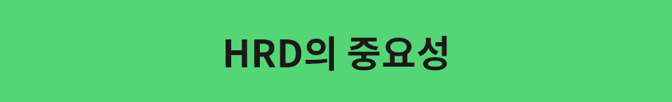 ubob hr archive HRD업무가 필요한 이유_01.png