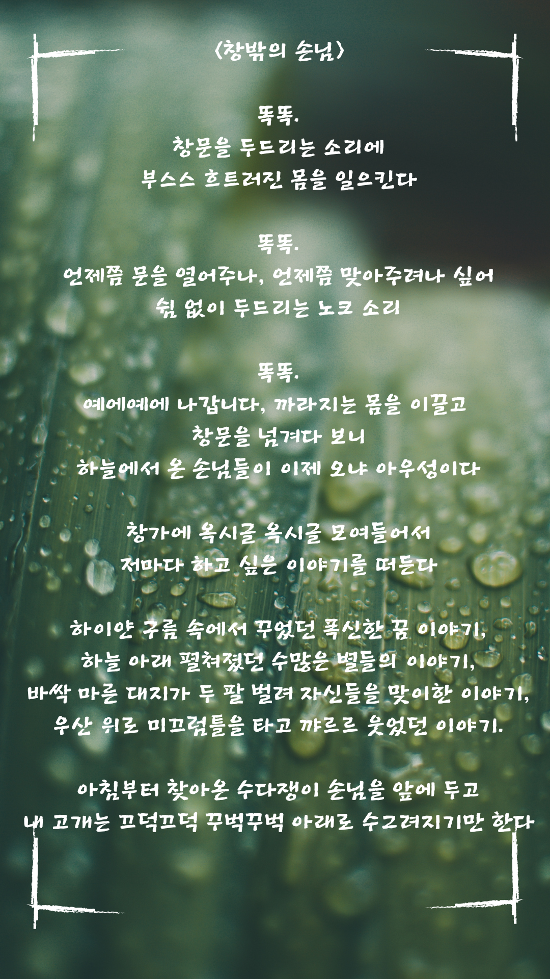 Green & White Simple Daily Motivation Instagram Story.png