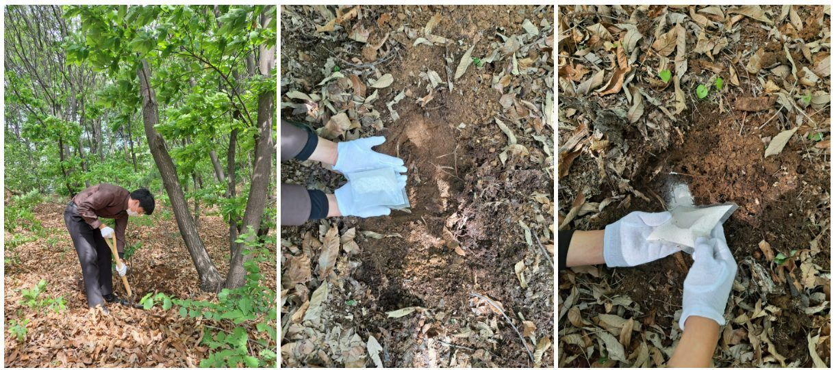 (3) 유골함 매장.png