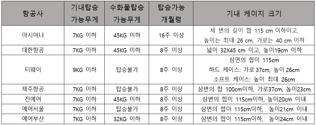 (2) 항공사 규정.png