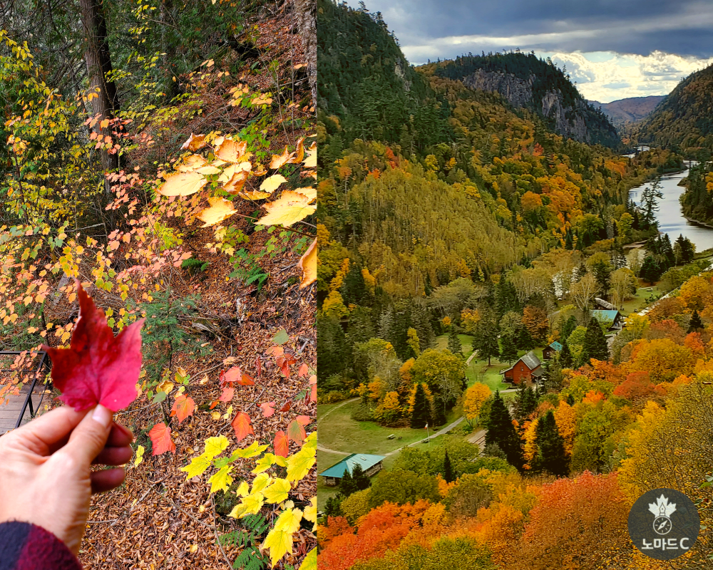 제목을-입력해주세요_-001 - 2025-10-14T120411.220.png