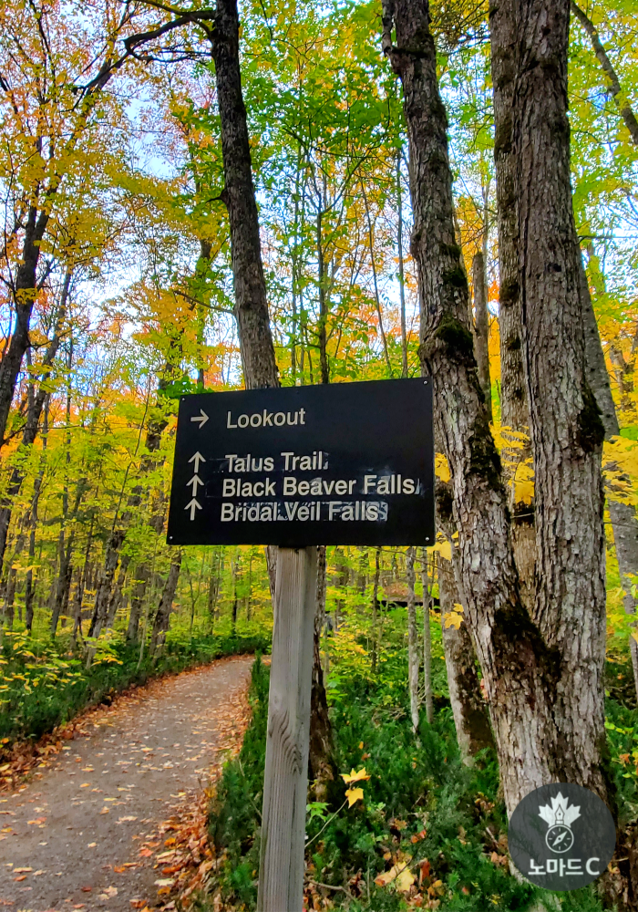 제목을-입력해주세요_-001 - 2025-10-14T120717.894.png