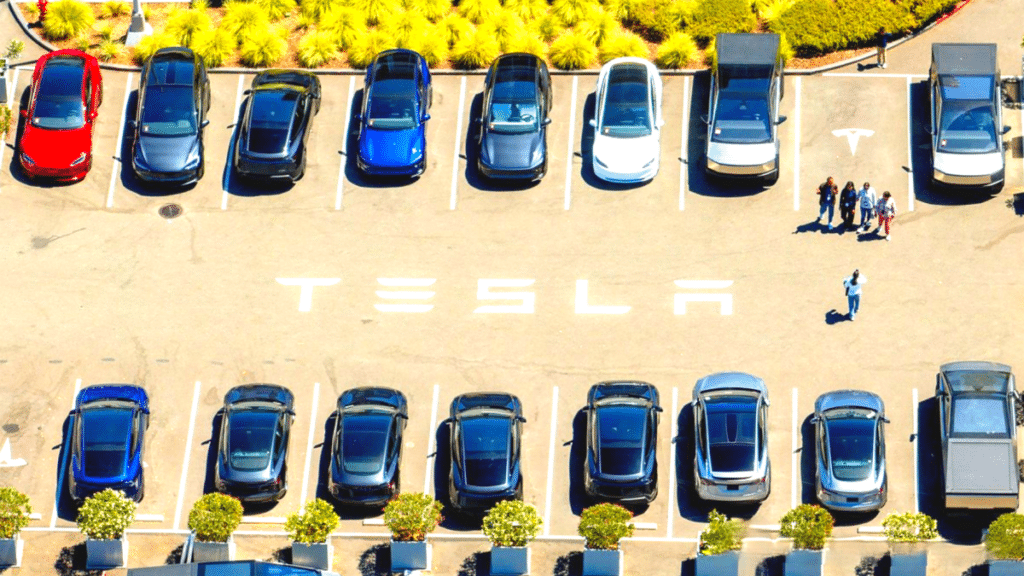 Teslas-self-driving-success-1024x576.png
