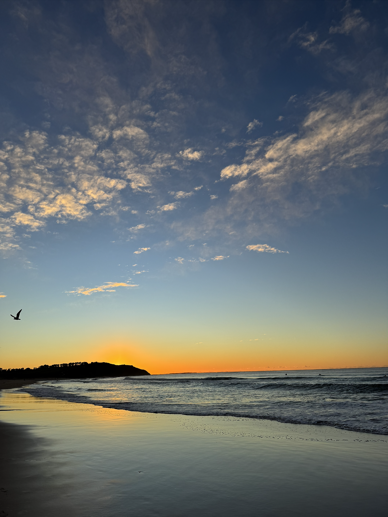 Screenshot 2025-07-28 at 5.56.41 am.png