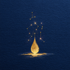 글의 신뢰도를 높입니다 (2).png