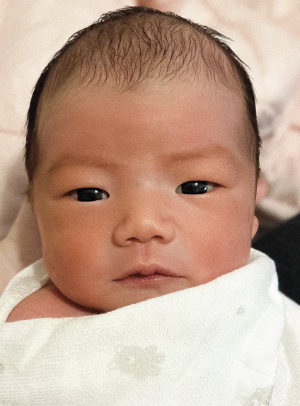 금이 독사진.png