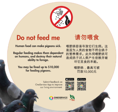 화면 캡처 2025-05-16 161725.png