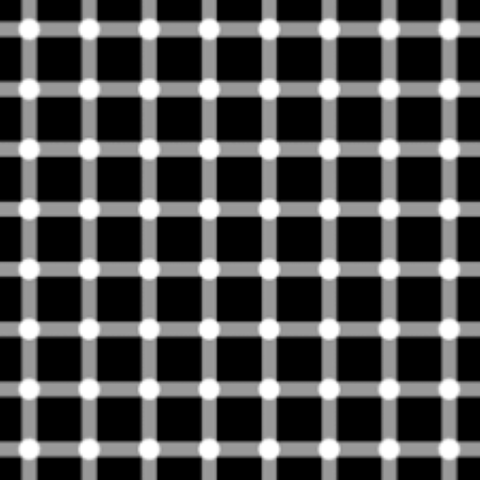 헤르만 격자.png