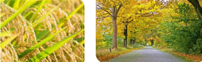 화면 캡처 2025-06-22 113037.png