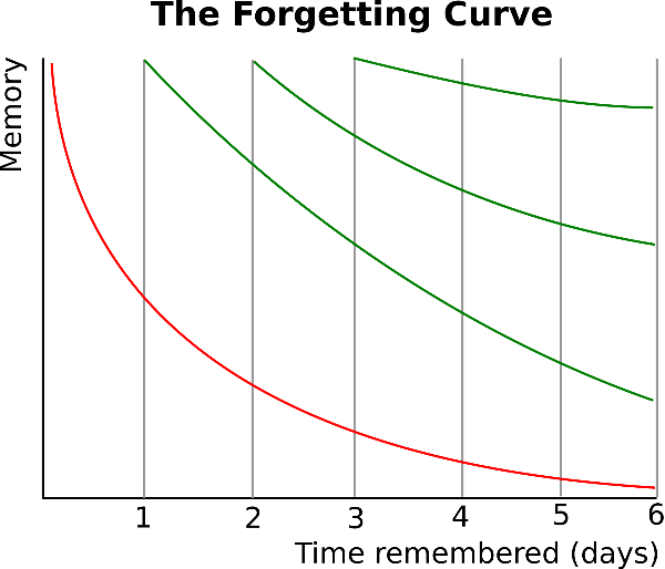1920px-ForgettingCurve.svg.png