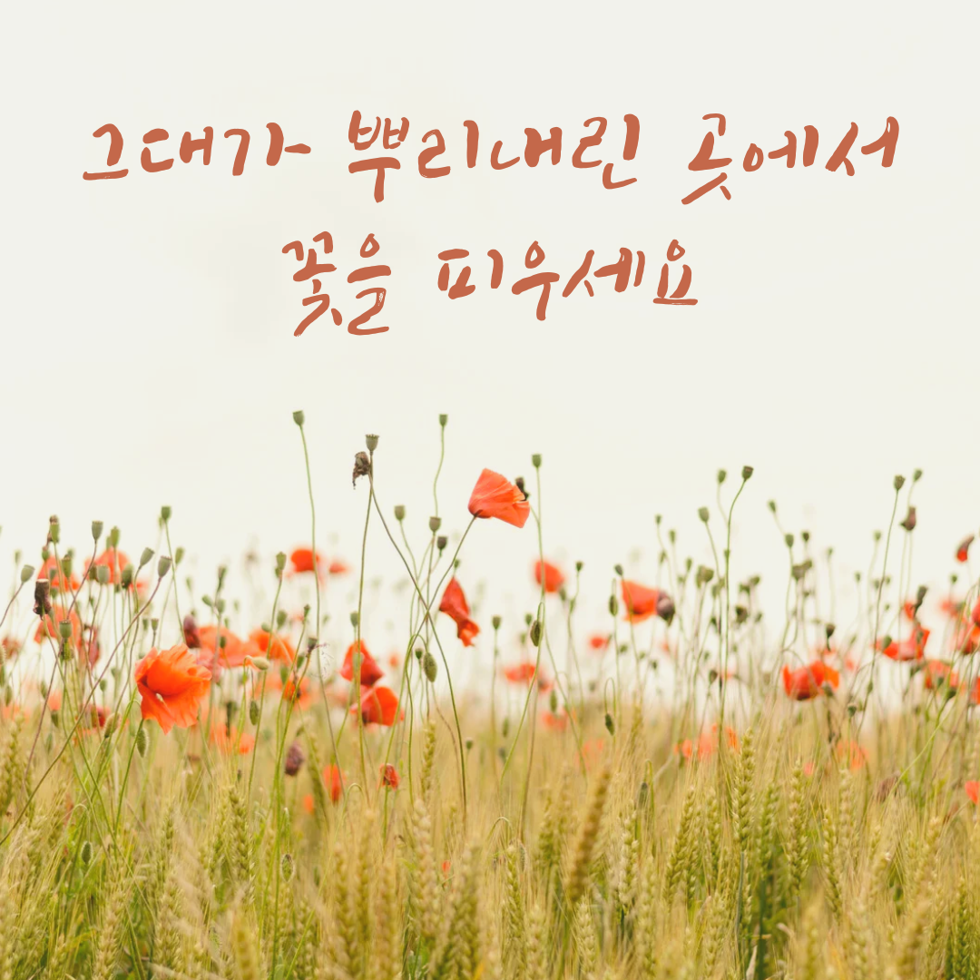 봄 영감을 주는 인스타그램 게시물.png