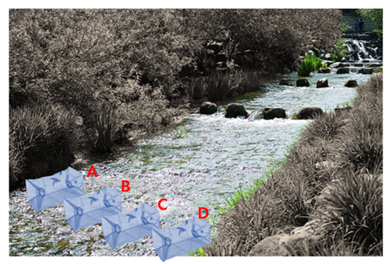 통발 사정율.png