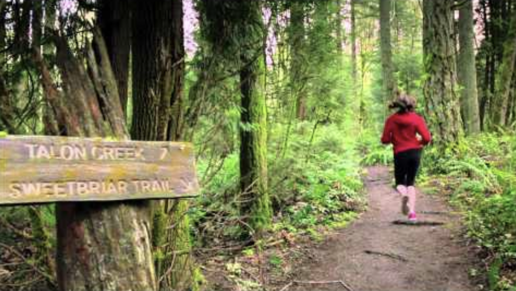 빨간망토 장면.png