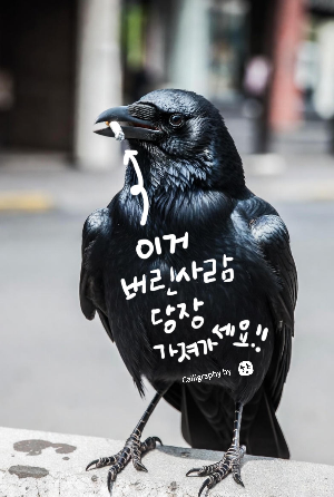 116화 까마귀.png
