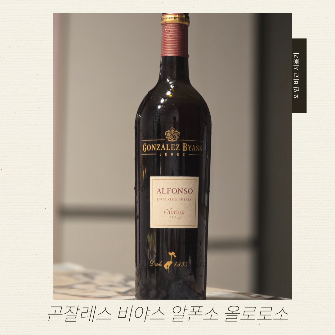 와인브런치_비교시음기_-005 (1).png