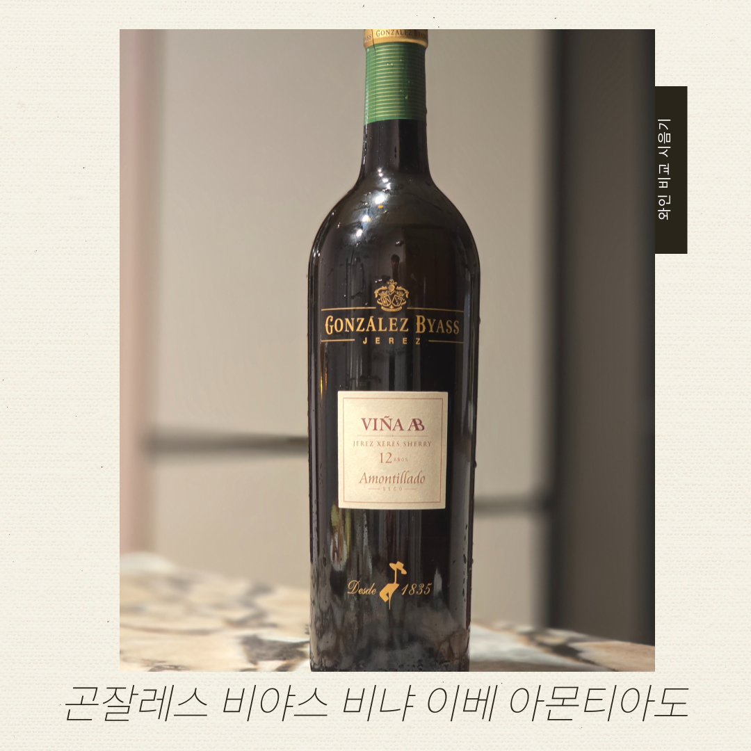 와인브런치_비교시음기_-005.png