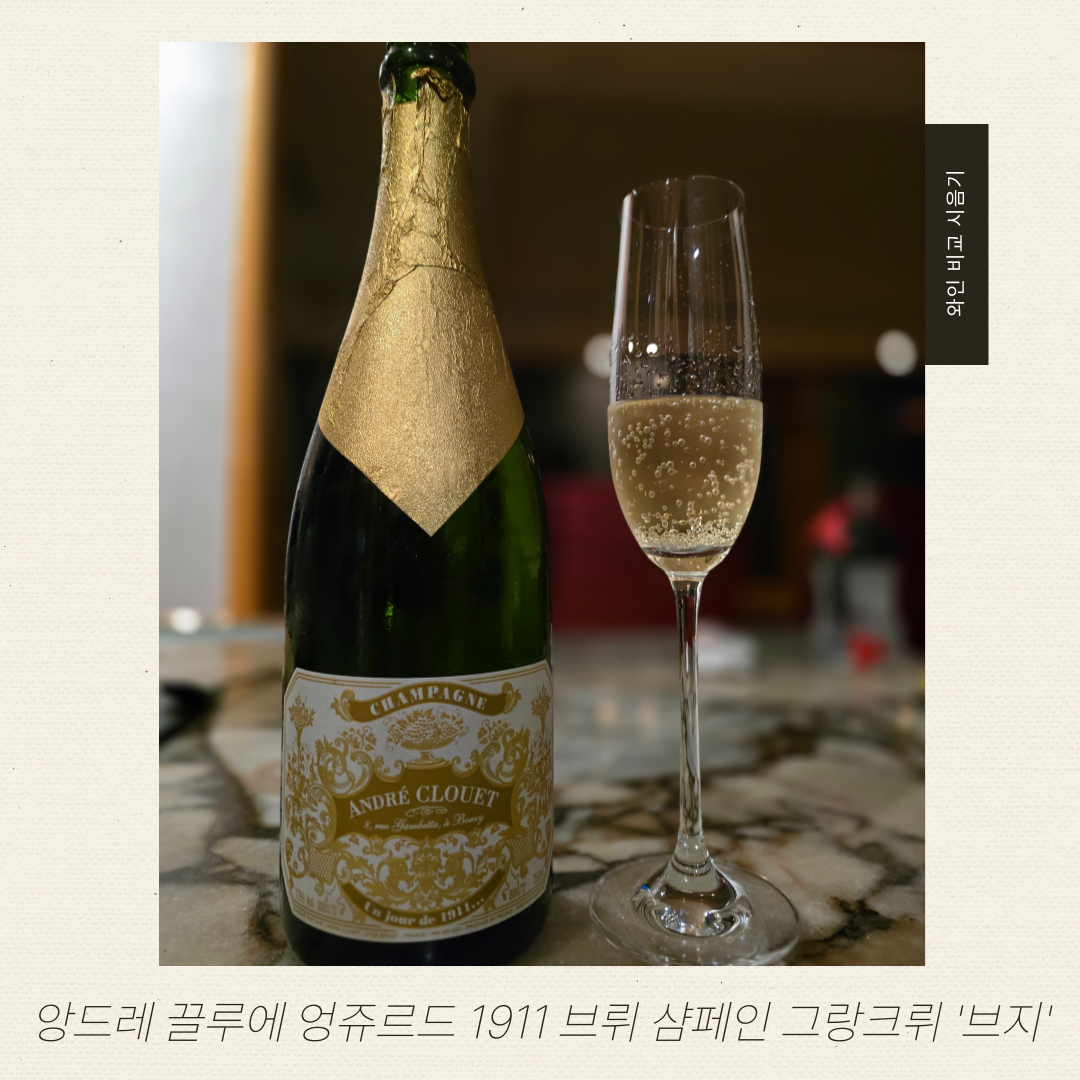 와인브런치_비교시음기_-005 (2).png