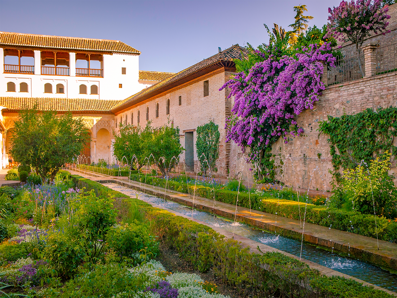 Anh Dinh-cp-Half.png