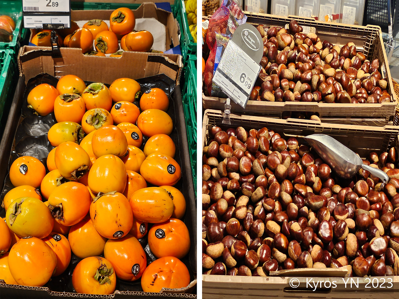 스페인 감, 밤.png