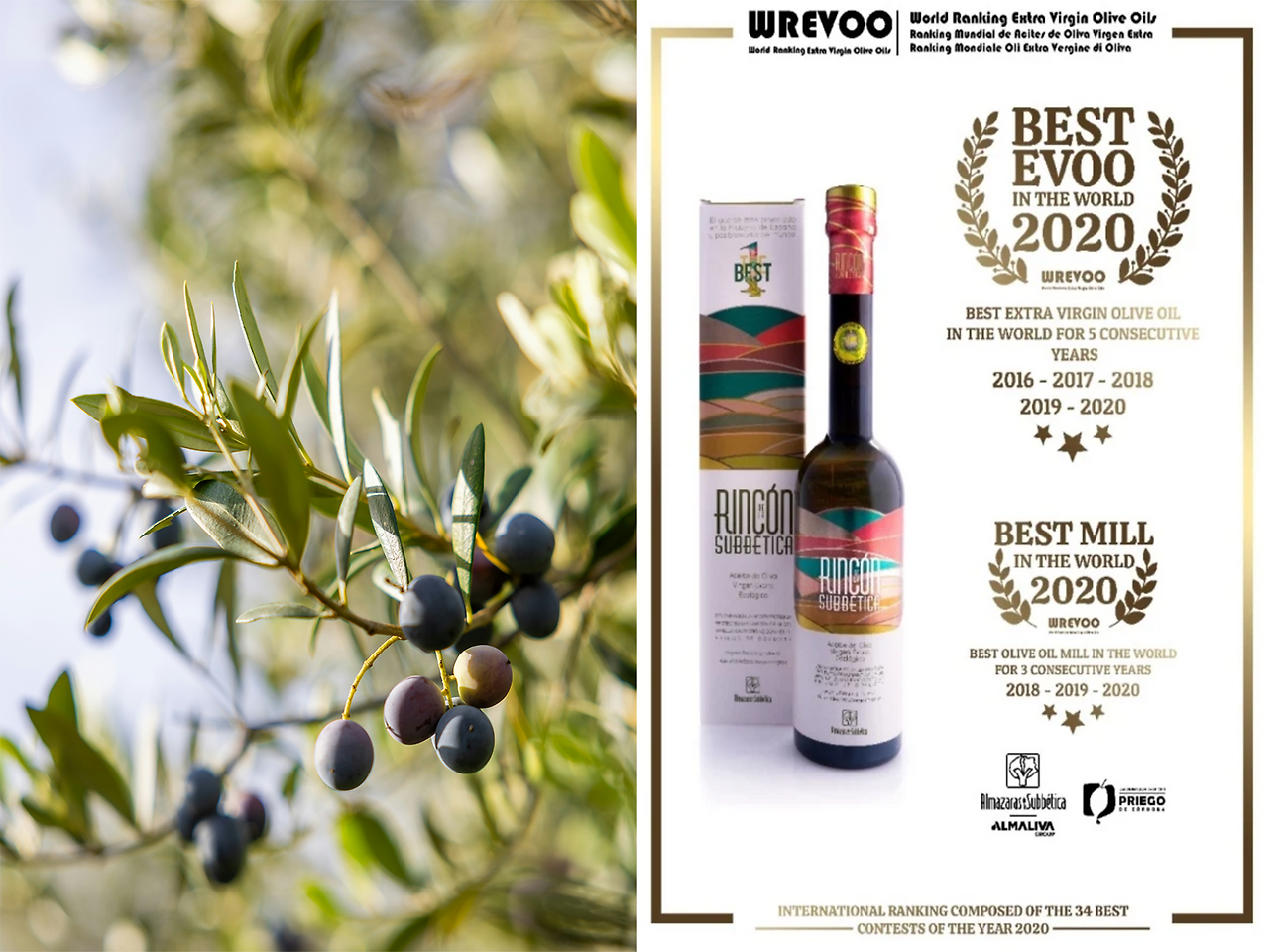 Olive & Rincon de la Subbetica.png