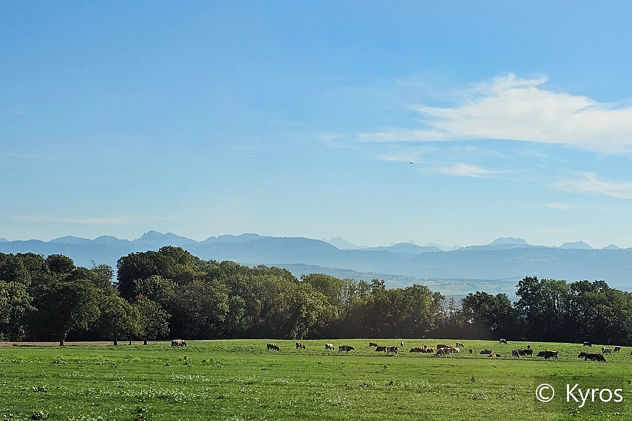 20231013_123433-cp-4x3-200 px.png