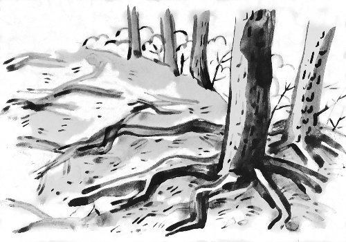 29. 살아 숨 쉬는 계단1 (v2).png