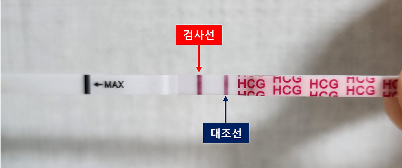 임신테스터기2 수정2.png