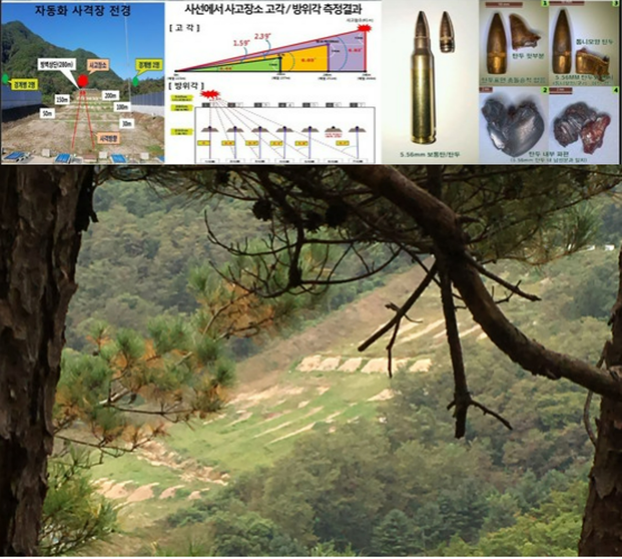 철원 총기사고.png