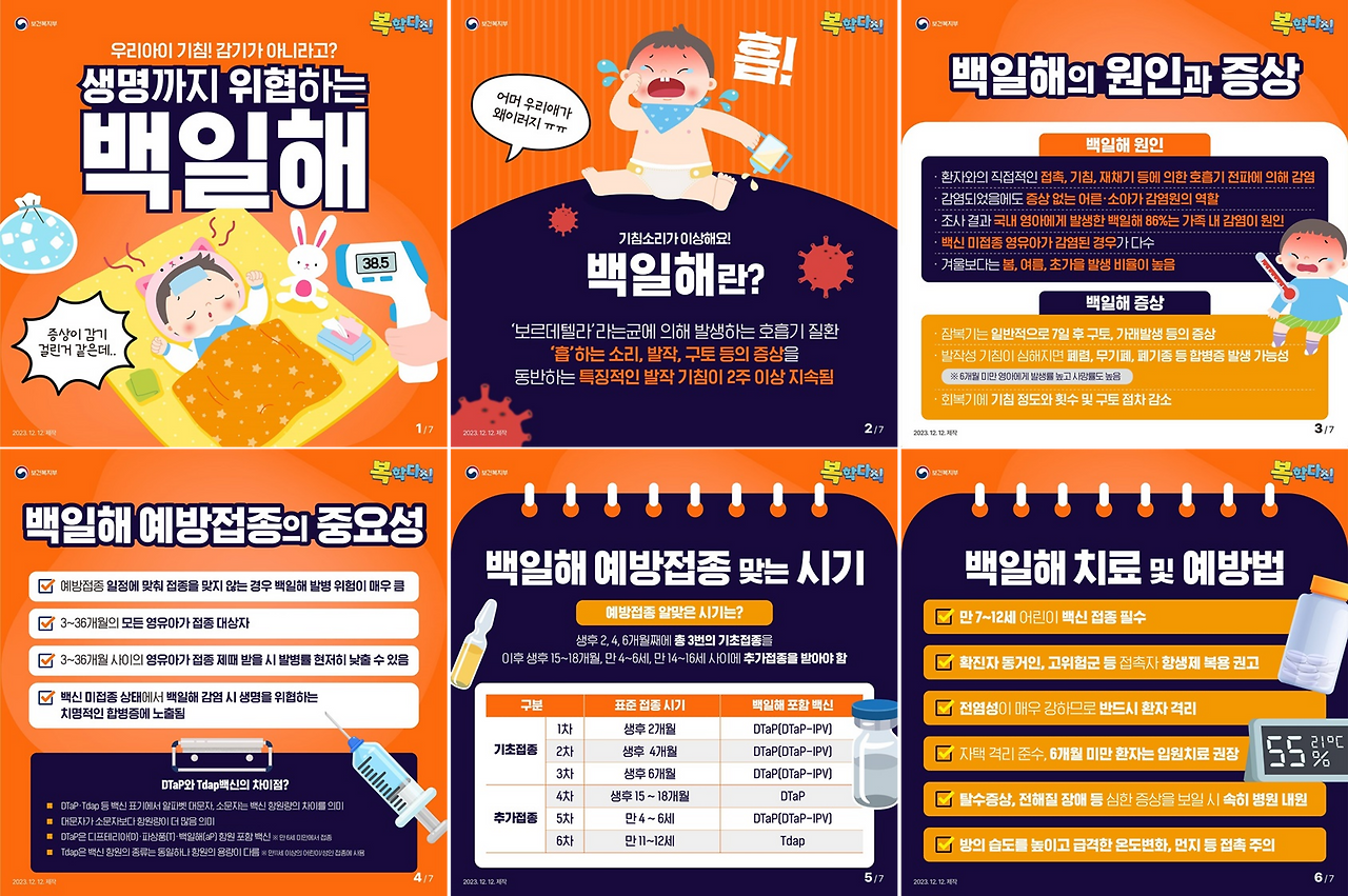 백일해_복지부 자료.png