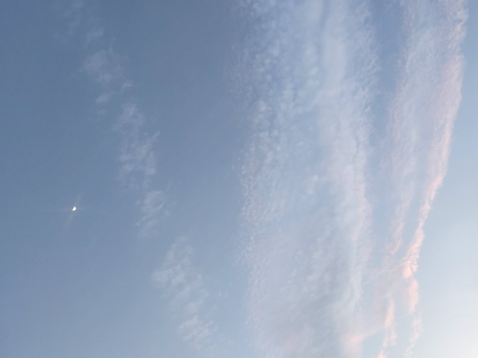 저녁하늘 사진.png