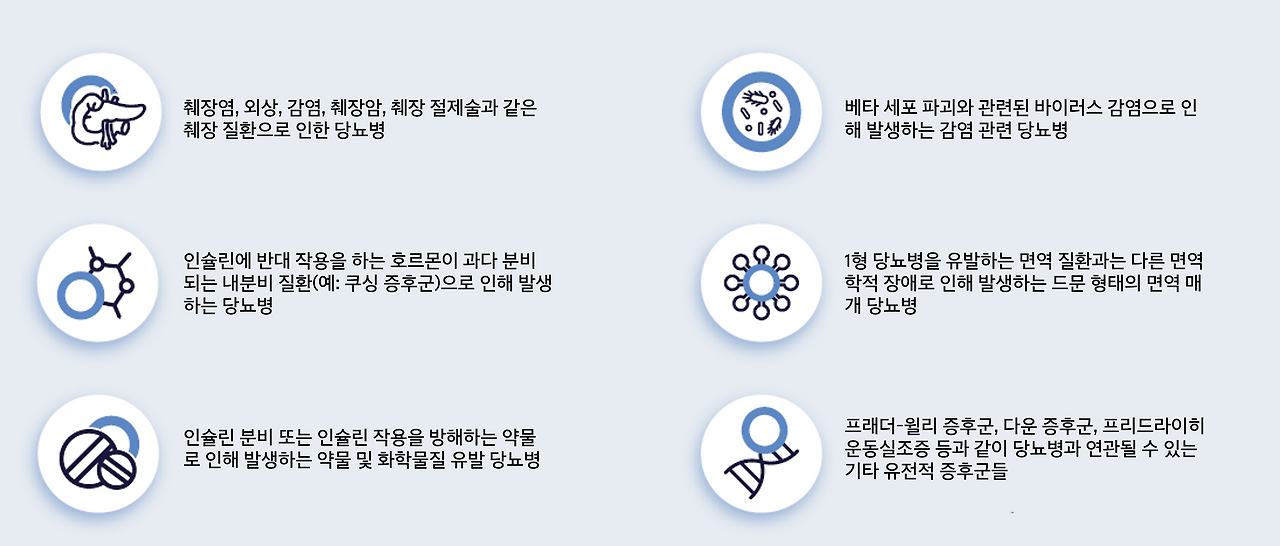 아트라스 기타 당뇨병 유형.png