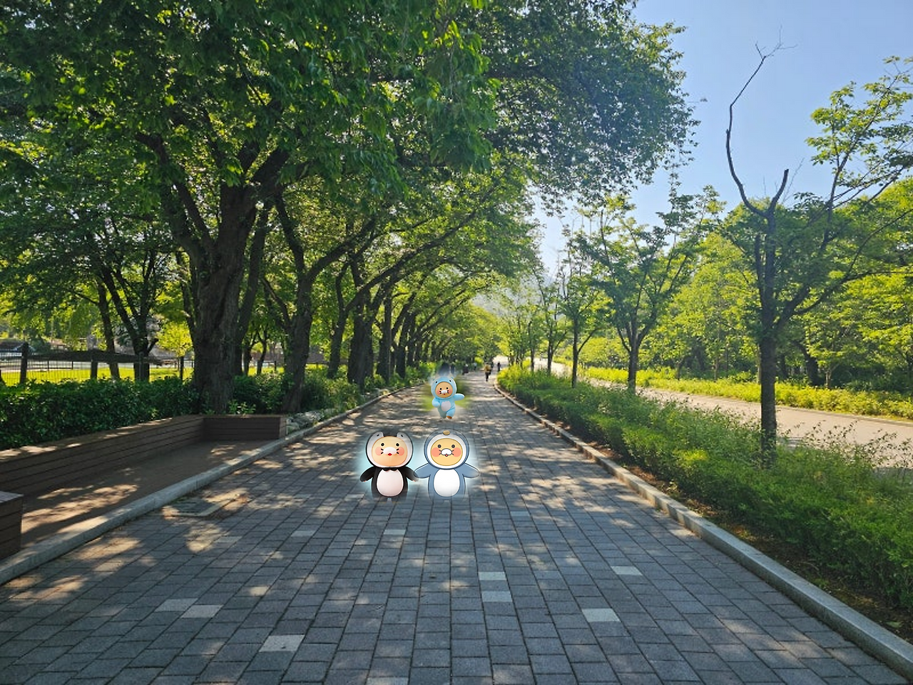 서울대공원 호수 산책로.png