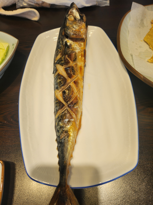 아라 고등어.png