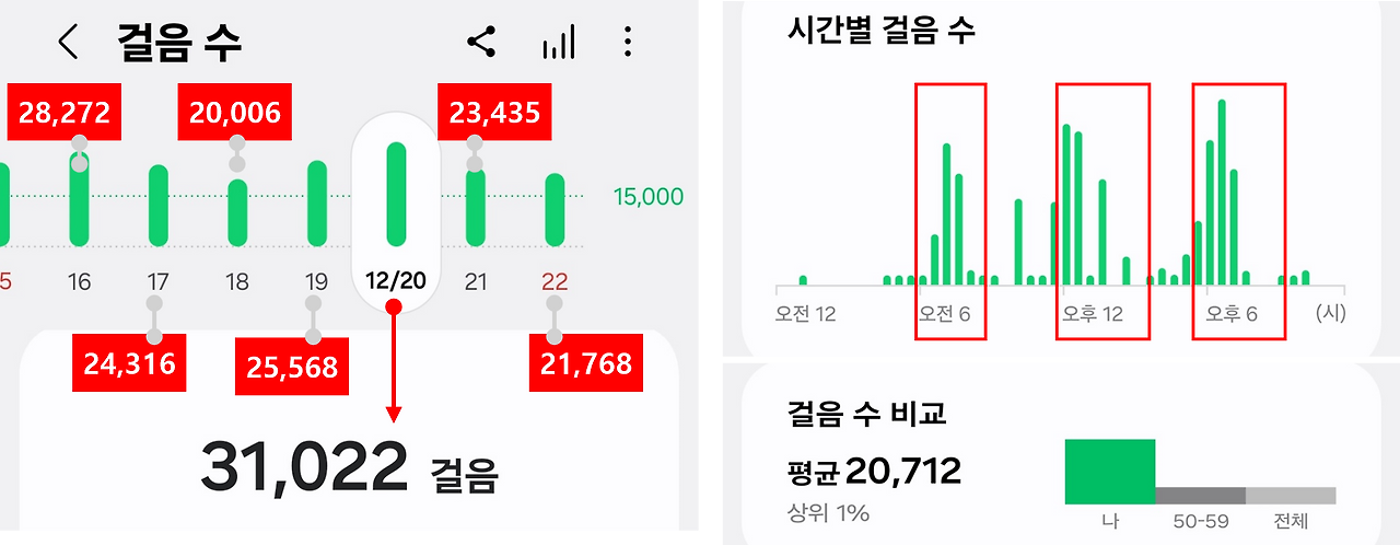 걸음수 데이터.png